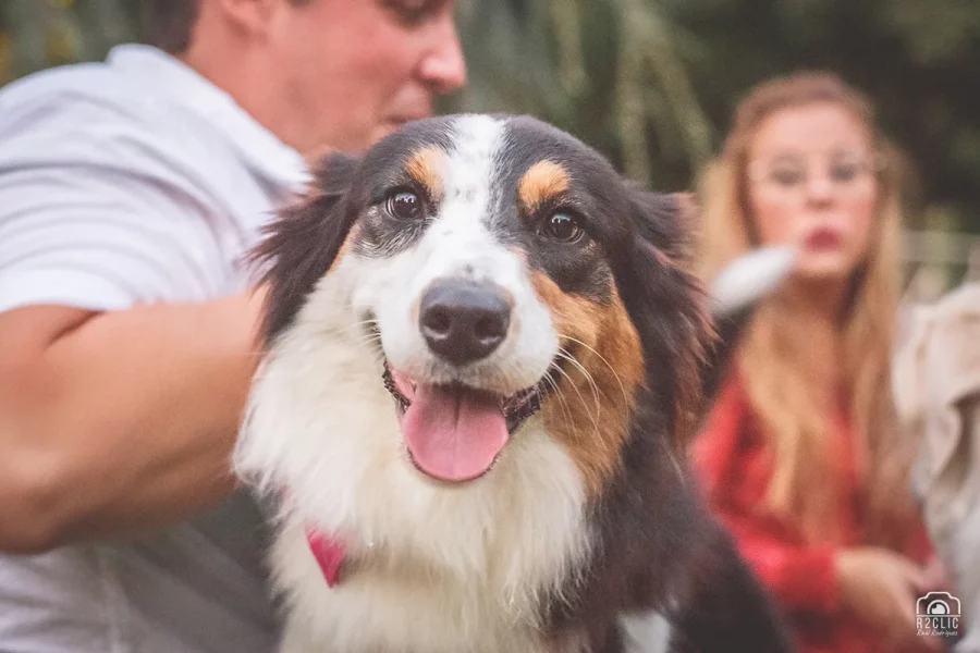 Mascota de los novios posando para la foto. Boda en Cáceres - Preboda en el Parque del Príncipe [J&Z]